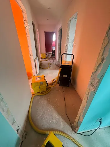 Condensa - osuszanie po zalaniu